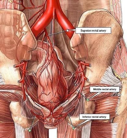 新型痔疮手术无痛,无痛微创内镜痔疮手术