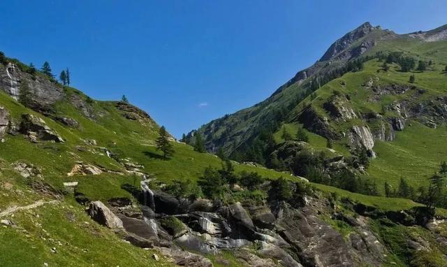 中国护照免签最新消息,中国护照免签2024汇总