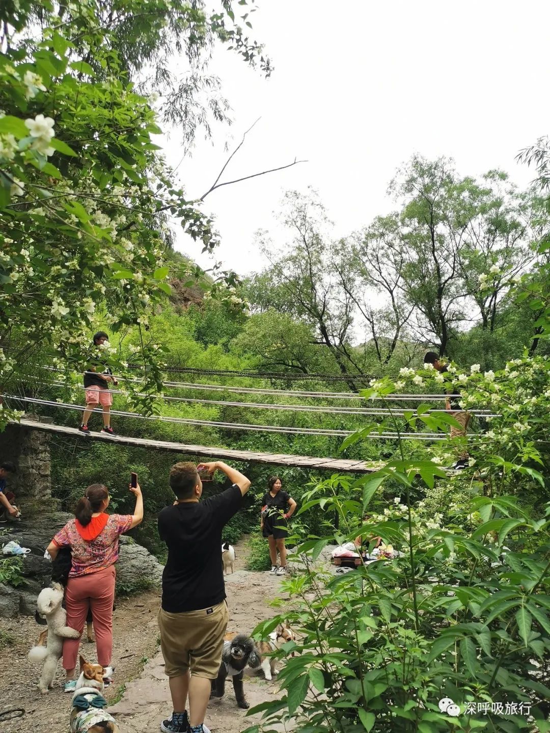 靖西双龙峡网红小火车,京西小九寨二日游