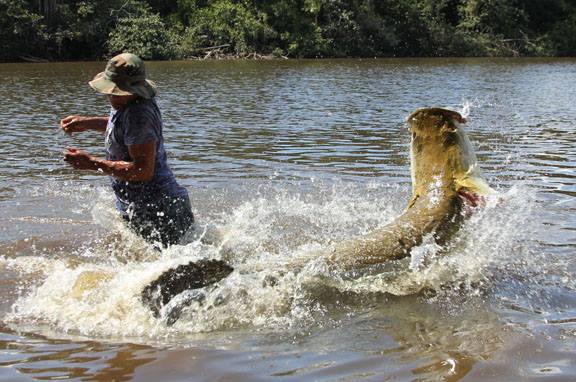 钓亚马逊神秘鱼种,游钓亚马逊河纪录片