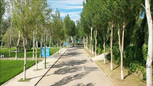 母校前面的广场是什么广场,母校校门设置