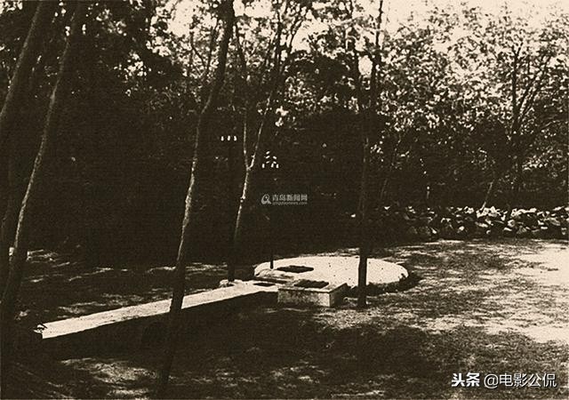 崂山白花蛇草水有什么好喝的,崂山白花蛇草水怎么喝比较好喝