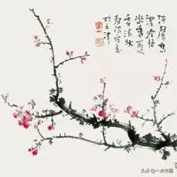 霍春阳讲解梅花的画法,霍春阳梅花构图
