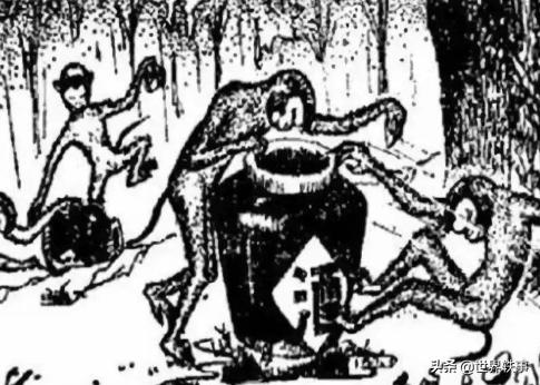 史上最全白酒酿造工艺,酿酒技术知识大全集