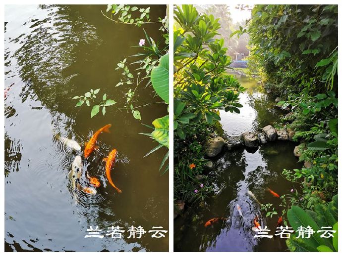 长泰半月山温泉酒店团购,长泰半月山温泉酒店附近景点