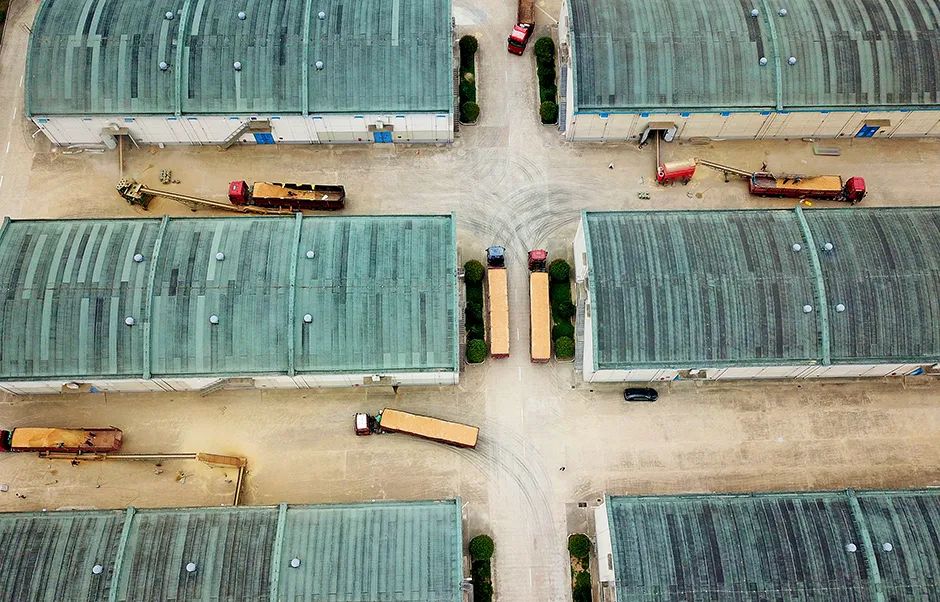 全球濒临50年来最严重的粮食危机，中国有何“粮策”？