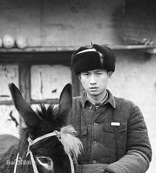 经典的动物灾难电影,推荐几部有关动物灾难方面的电影