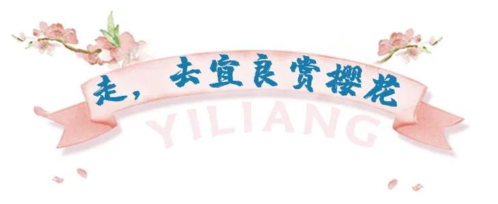 今天宜良景点哪里好玩,宜良好玩的夜景