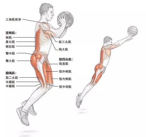 快速增强力量的训练,提升全身爆发力最好的方法
