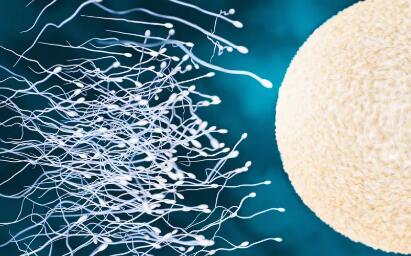 试管婴儿怎么和医生沟通,第一次咨询试管婴儿问什么