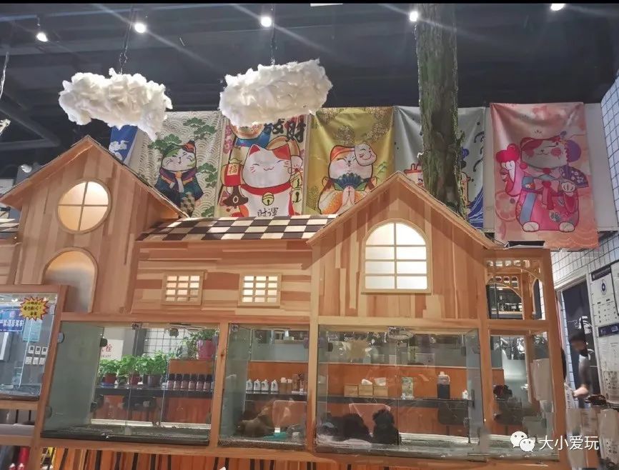 北京主题星空餐厅哪里的好,北京太空舱主题餐厅