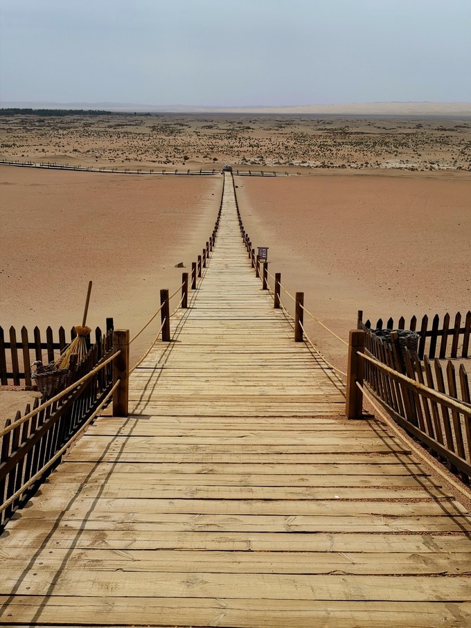 敦煌博物馆东方甄选看世界讲解,敦煌艺术馆游玩攻略