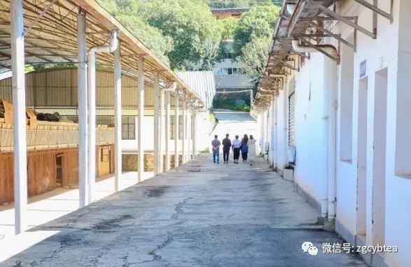 福海茶厂哪款熟茶最好喝,福海茶厂经典标杆茶