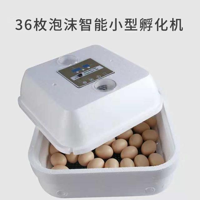 网友花了260元买榴莲,网友花1000块钱买了柴犬