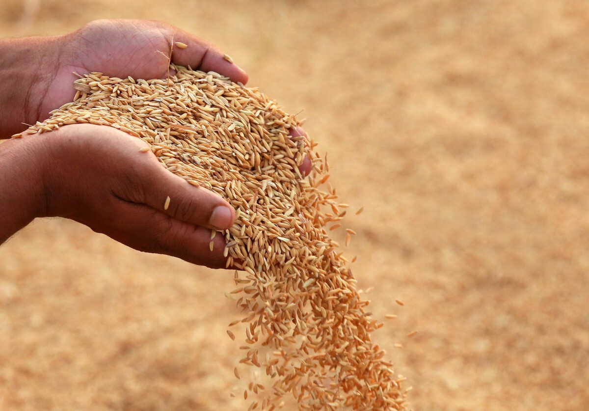 2021年是辛丑年,农村老话:“疾病稍,六畜瘴”是什么意思?