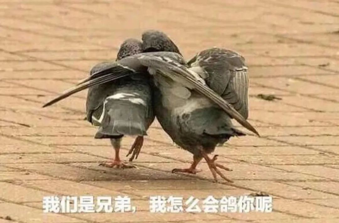 为什么想走的人可以走得那么干脆,为什么走捷径的人反而过得好