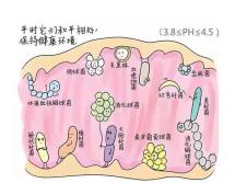 外阴最好多久冲洗一次,外阴多久进行一次冲洗好