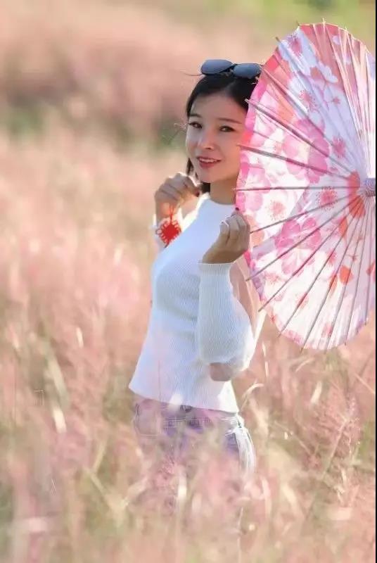 常熟网红基地花海,常熟网红粉黛花海