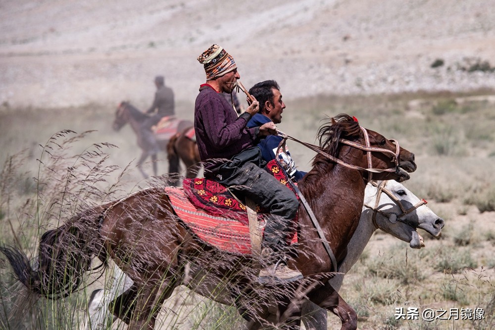 铁血雄鹰全剧,铁血雄鹰全文阅读
