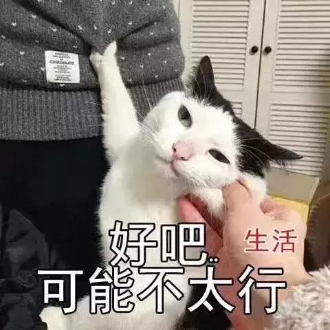 天津最新爆发的新闻,天津最新规划公布今后将迎大爆发