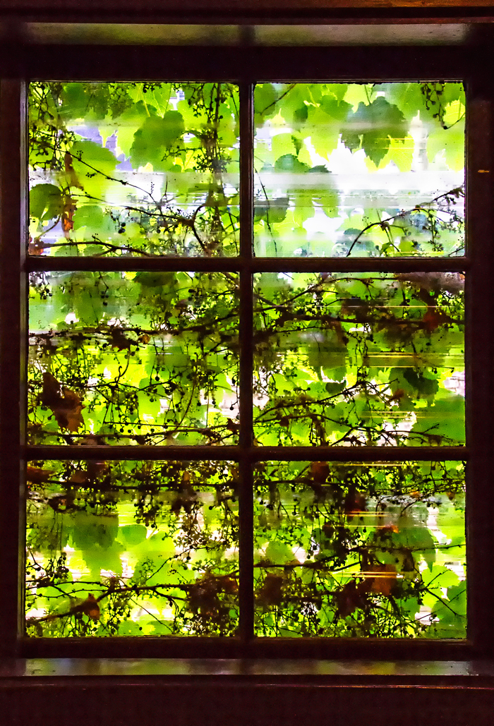 绿山墙的安妮大概解读,绿山墙的安妮的内容介绍