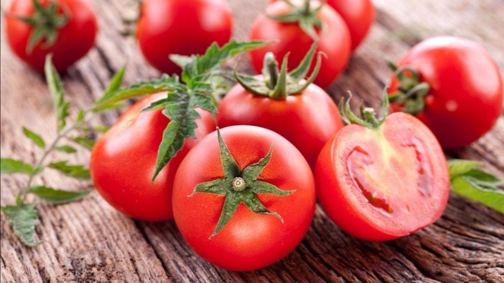 西红柿灰霉病可以用烟熏剂吗,大棚西红柿灰霉病几月份减轻