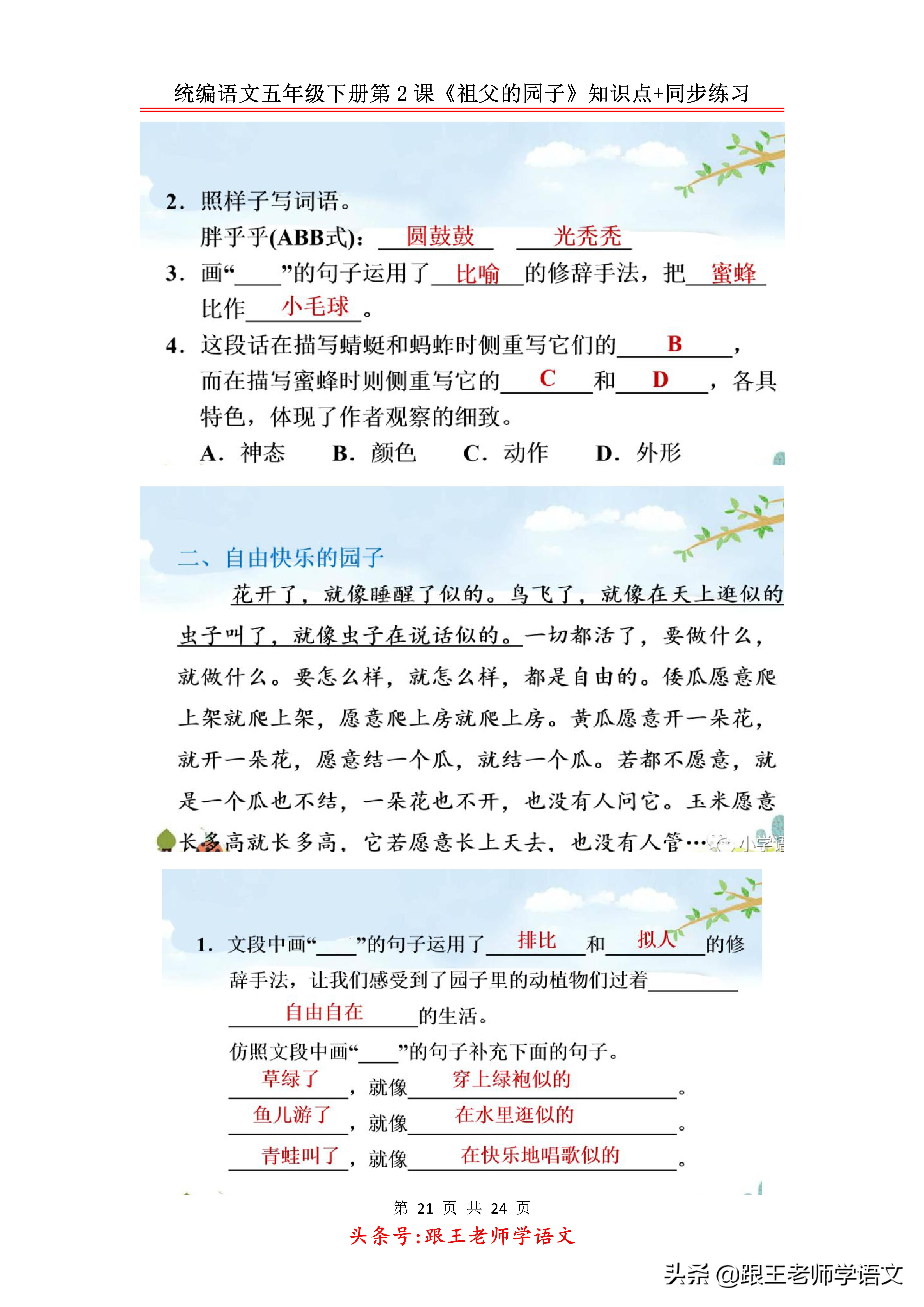 五下语文书祖父的园子预习笔记,五年级下册祖父的园子的好词好句