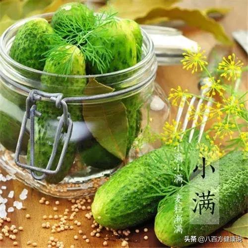 节气书小满全文阅读,小满节气的养生知识归纳