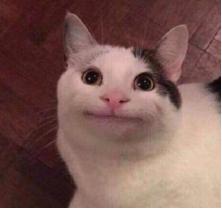 中国最丑的车牌排名,全世界最丑的车牌号