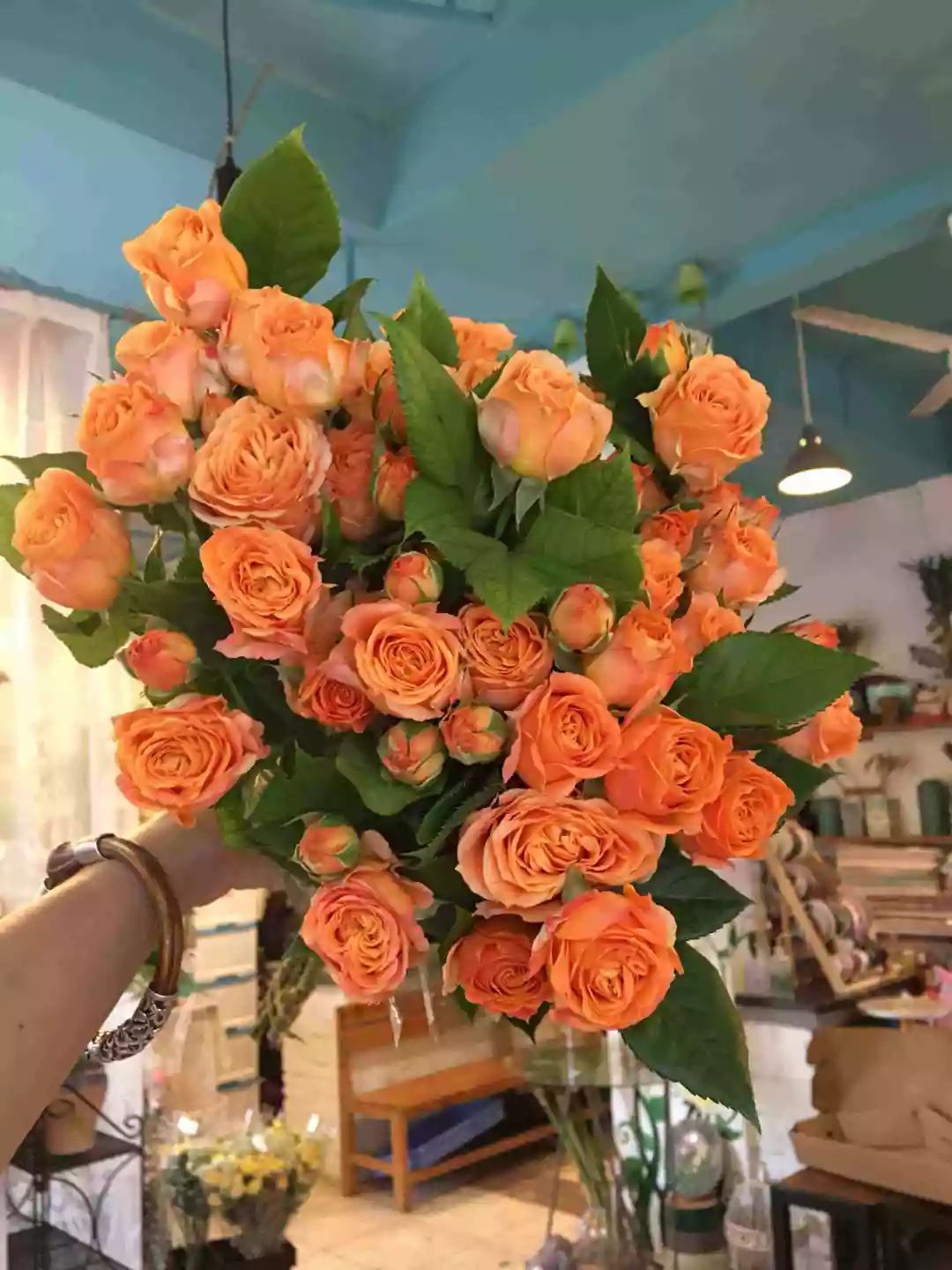 一篇文章带你认识三亚40种花,鲜花图鉴一次性认识30种玫瑰花