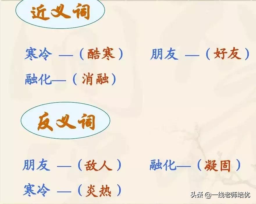 知识点+练习题▎部编版三年级语文上册8去年的树