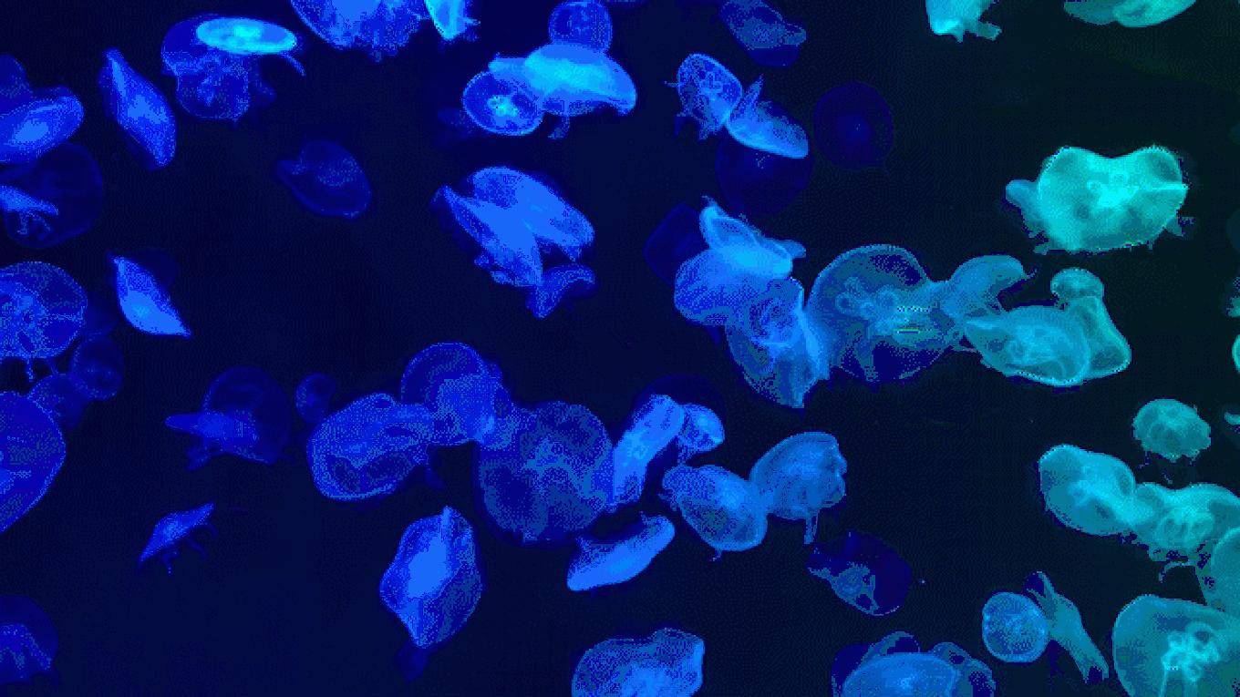 5年之许，小白逆袭重返新加坡