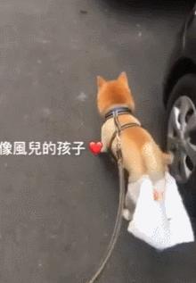 狗出门在外的大小便神器,院子里自制狗狗大小便神器