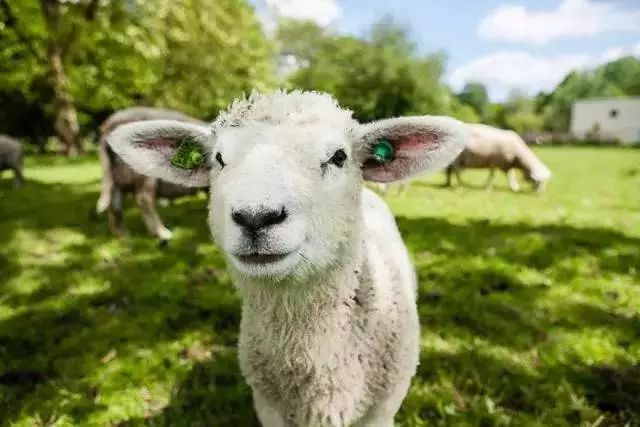 儿童农场建立,给孩子打造农场