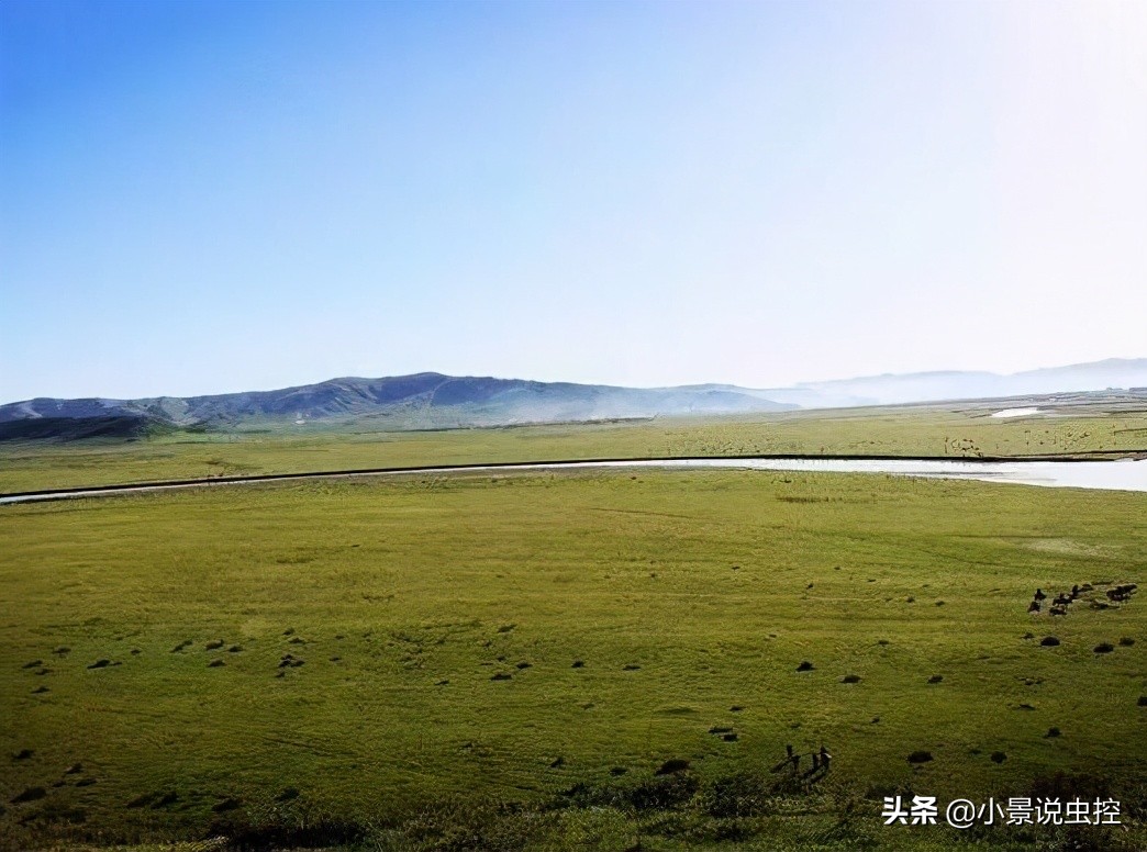 对付鼹鼠最有效的办法,对付鼹鼠的最好方法