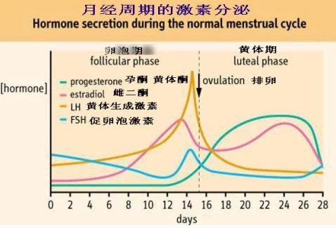 如何拯救你我的爱人漫画,如何拯救你我的黑眼圈