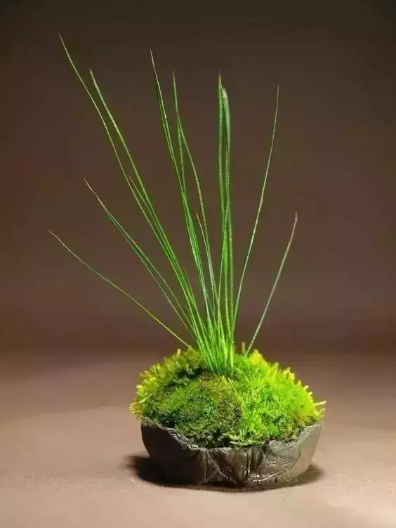 古人书房四种书写物品,古人对书房有什么讲究