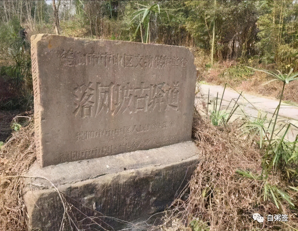 故事:何竞||落凤坡