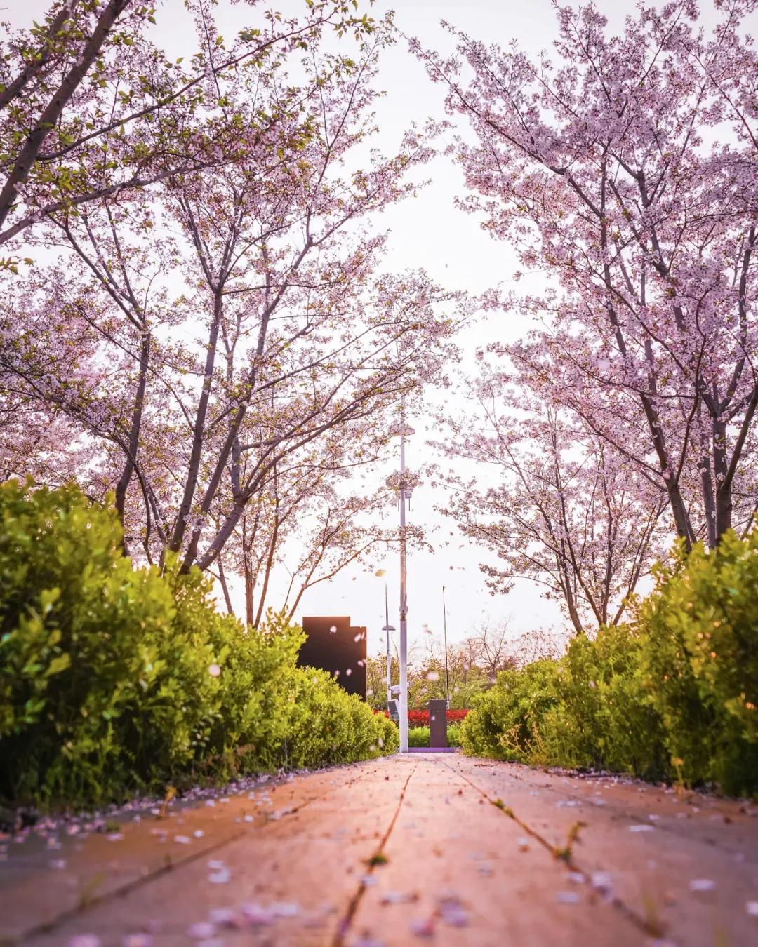 昆山杜克大学简介,江苏昆山杜克大学硕士