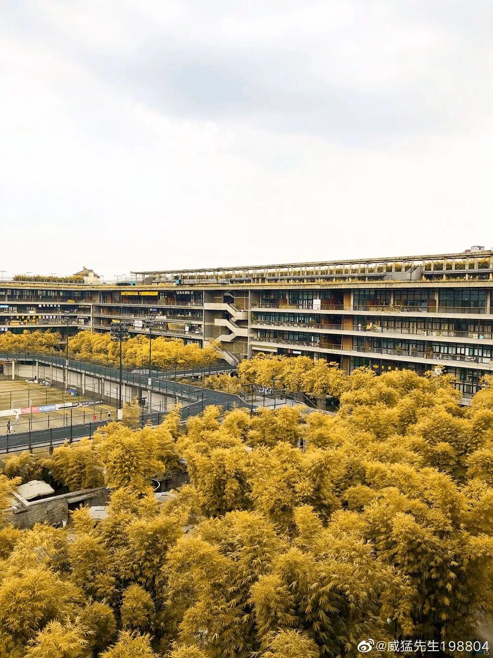 成都东二环高架桥,成都东二环高架图片