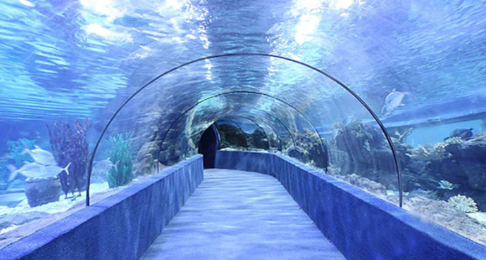 海洋馆的美丽与震撼,亚洲最大室内单体海洋馆