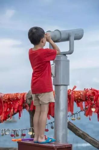 读书旅行看电影,读书与旅行的完美结合