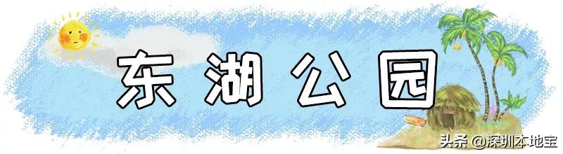 深圳最值得免费去的十大景点,深圳有哪些地方是免费景点