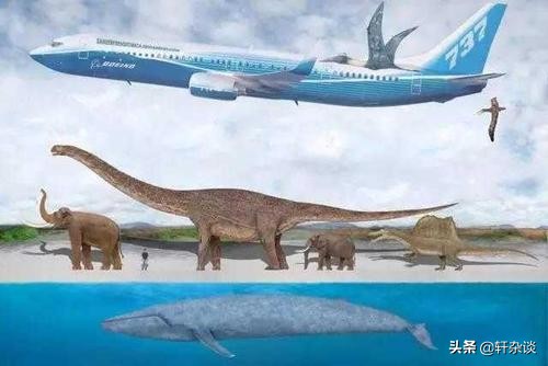 世界上有哪些最大的巨型动物,地球上有史以来最大的动物排名