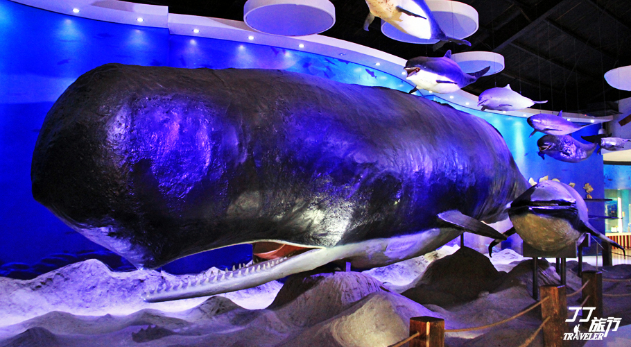 海滨城市青岛,青岛海滨城市在什么地方