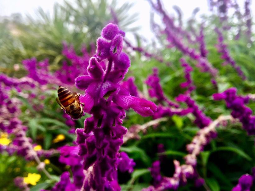 横琴相思瀑布要门票吗,相思瀑布珠海附近景点