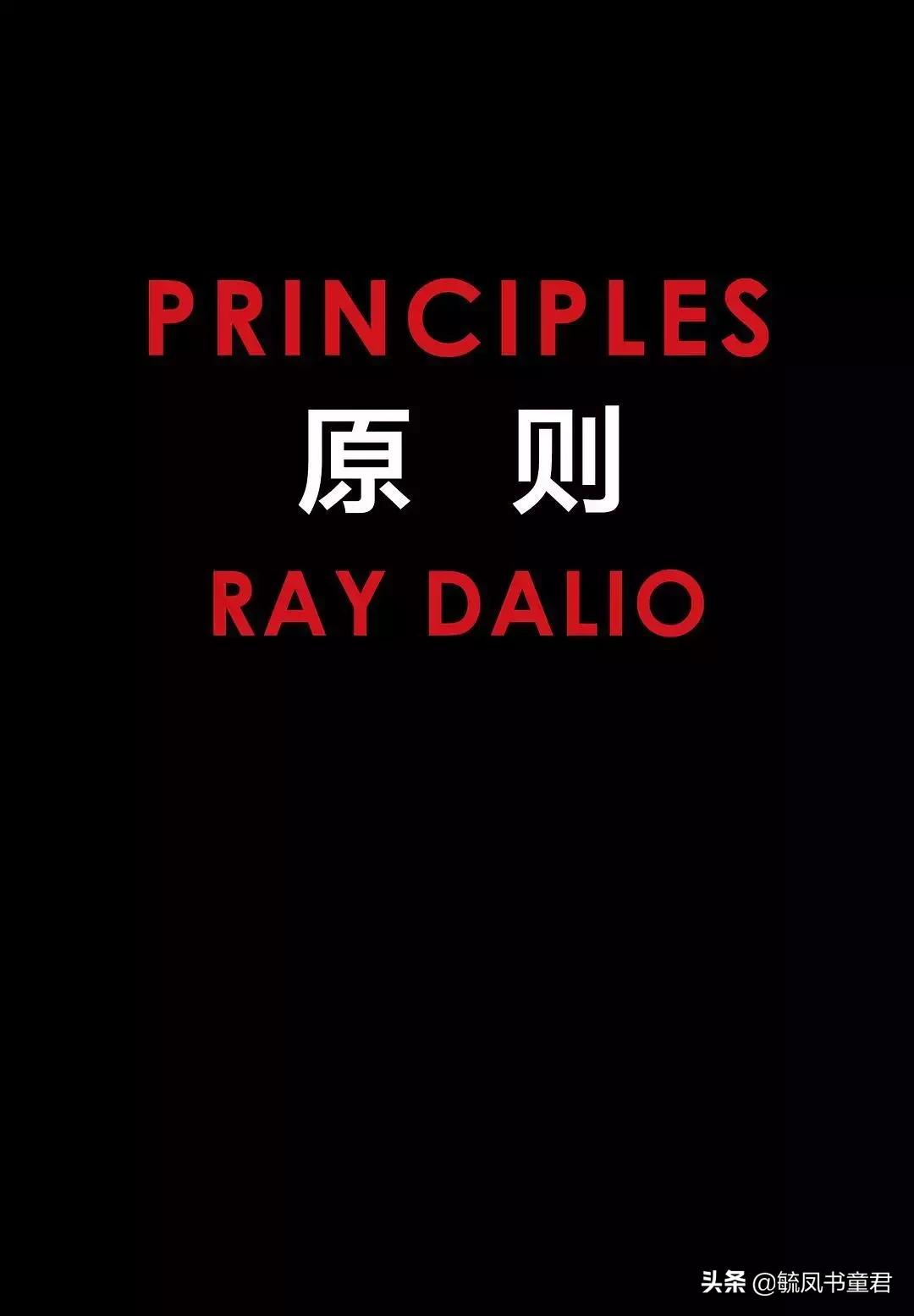 我们一无所有全文阅读,我们一无所有书解说