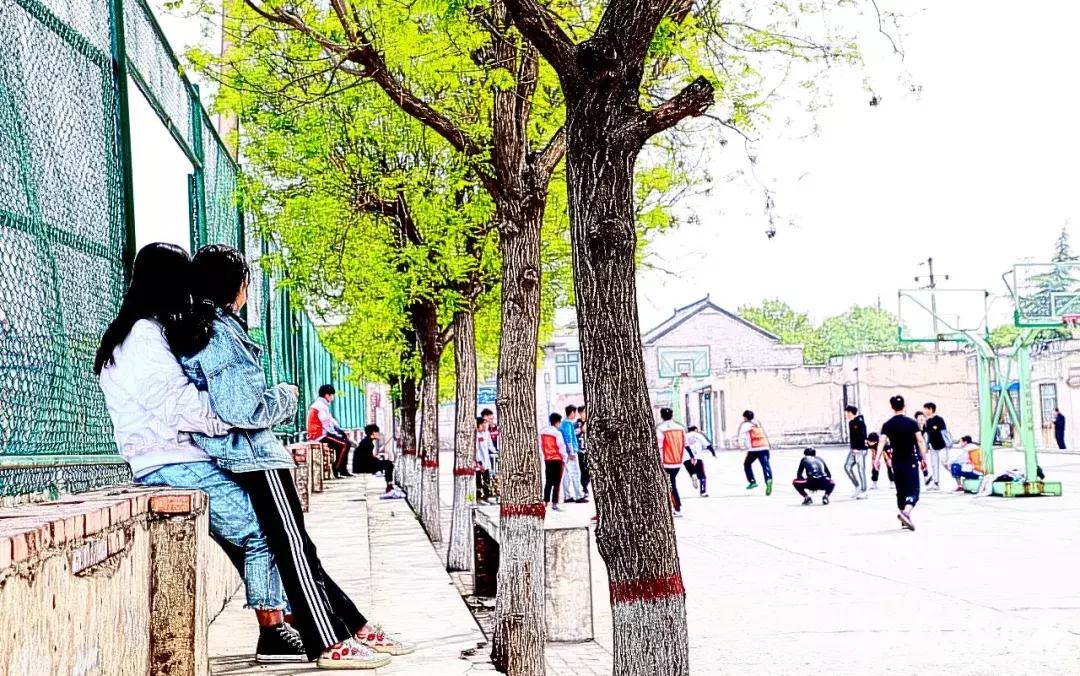 焦作市第四中学百科介绍,焦作市第四中学高三校区