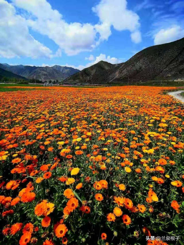 夏河县达尔宗湖景区电话,夏河县达尔宗湖游玩攻略