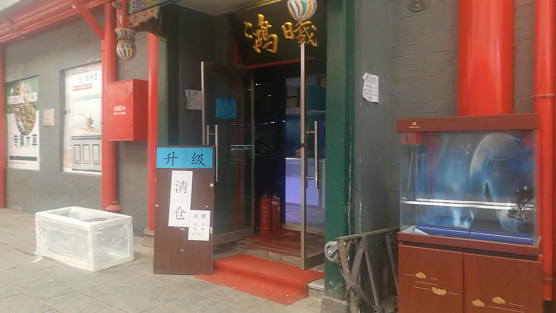 2020年北京观赏鱼批发市场夜市,观赏鱼夜市北京